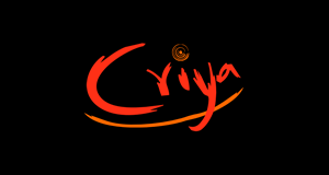 Jobs in Criya Innfotainment CGfrog