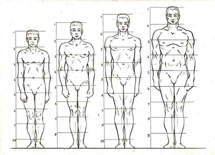 Study-of-Anatomical-Structure-Drawings-by-Veri-Apriyatno-cgfrog-14