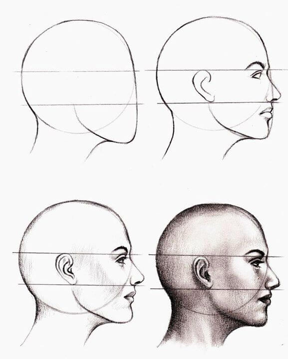 Study-of-Anatomical-Structure-Drawings-by-Veri-Apriyatno-cgfrog-4