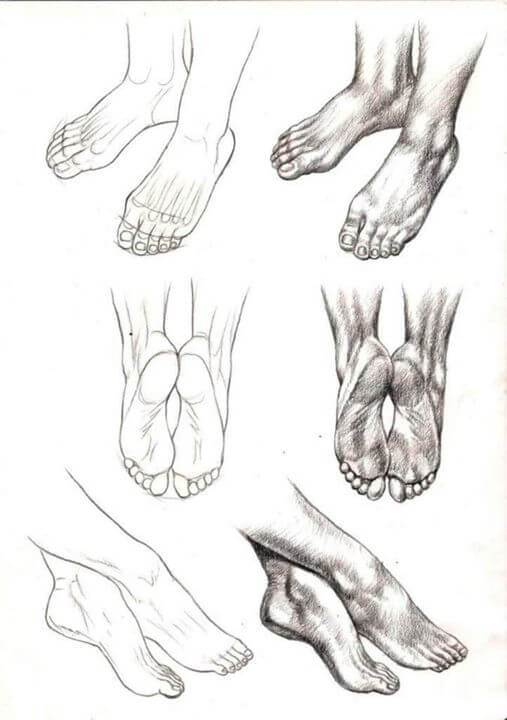Study-of-Anatomical-Structure-Drawings-by-Veri-Apriyatno-cgfrog-6