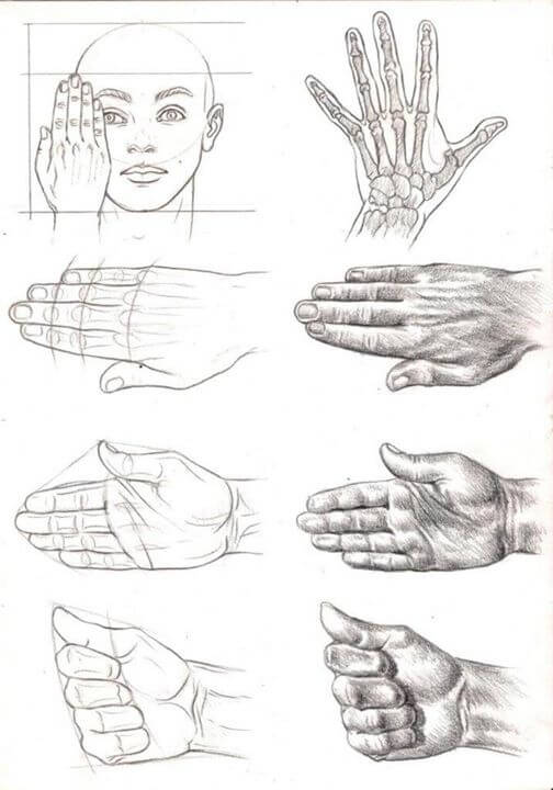 Study-of-Anatomical-Structure-Drawings-by-Veri-Apriyatno-cgfrog-8