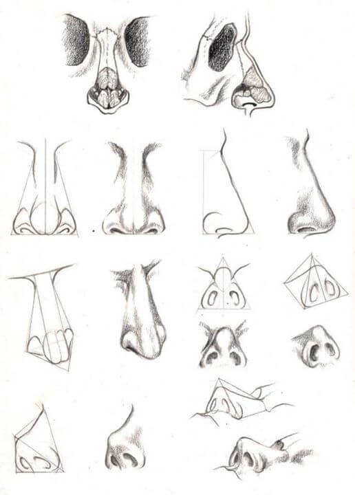 Study-of-Anatomical-Structure-Drawings-by-Veri-Apriyatno-cgfrog-9
