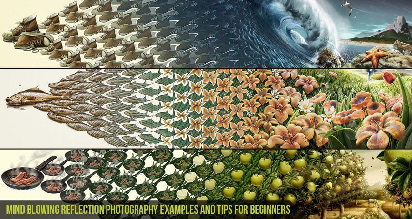 Mind-Blowing-Reflection-Photography-examples-and-Tips-for-beginners-Cgfrog_com_banner