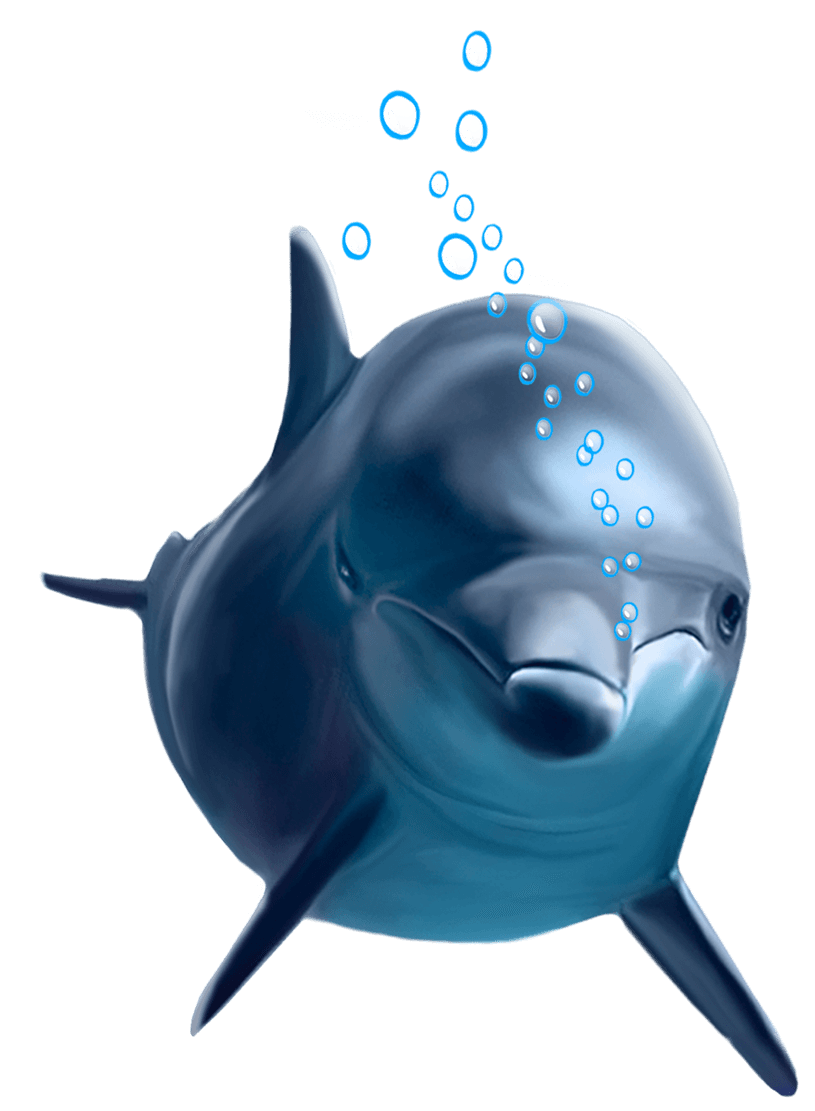 Download png Common Bottlenose Dolphin