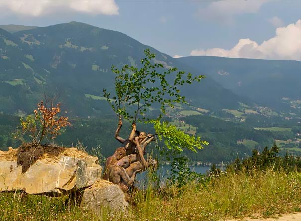 tree body painting work by craig tracy