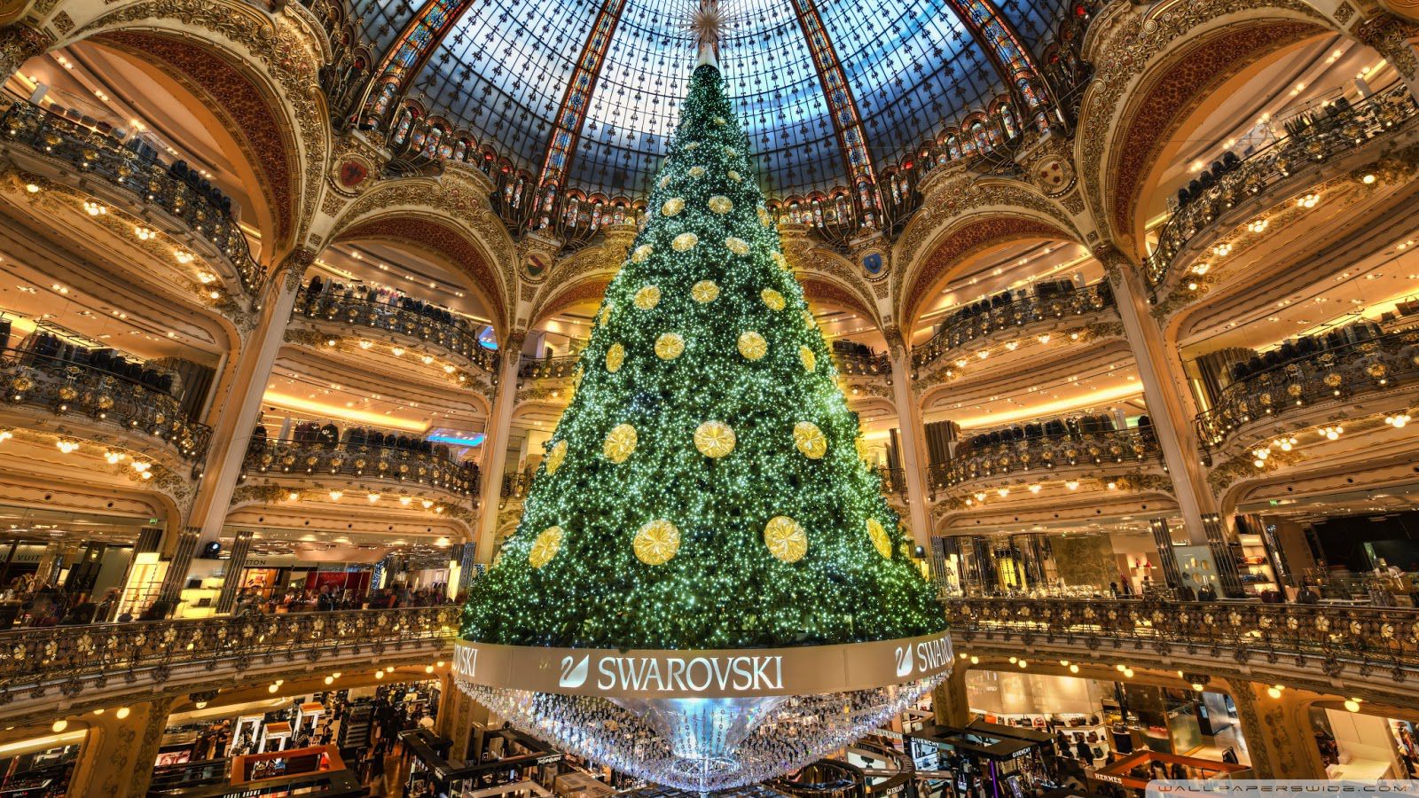 christmas tree in paris wallpaper 2048x1152