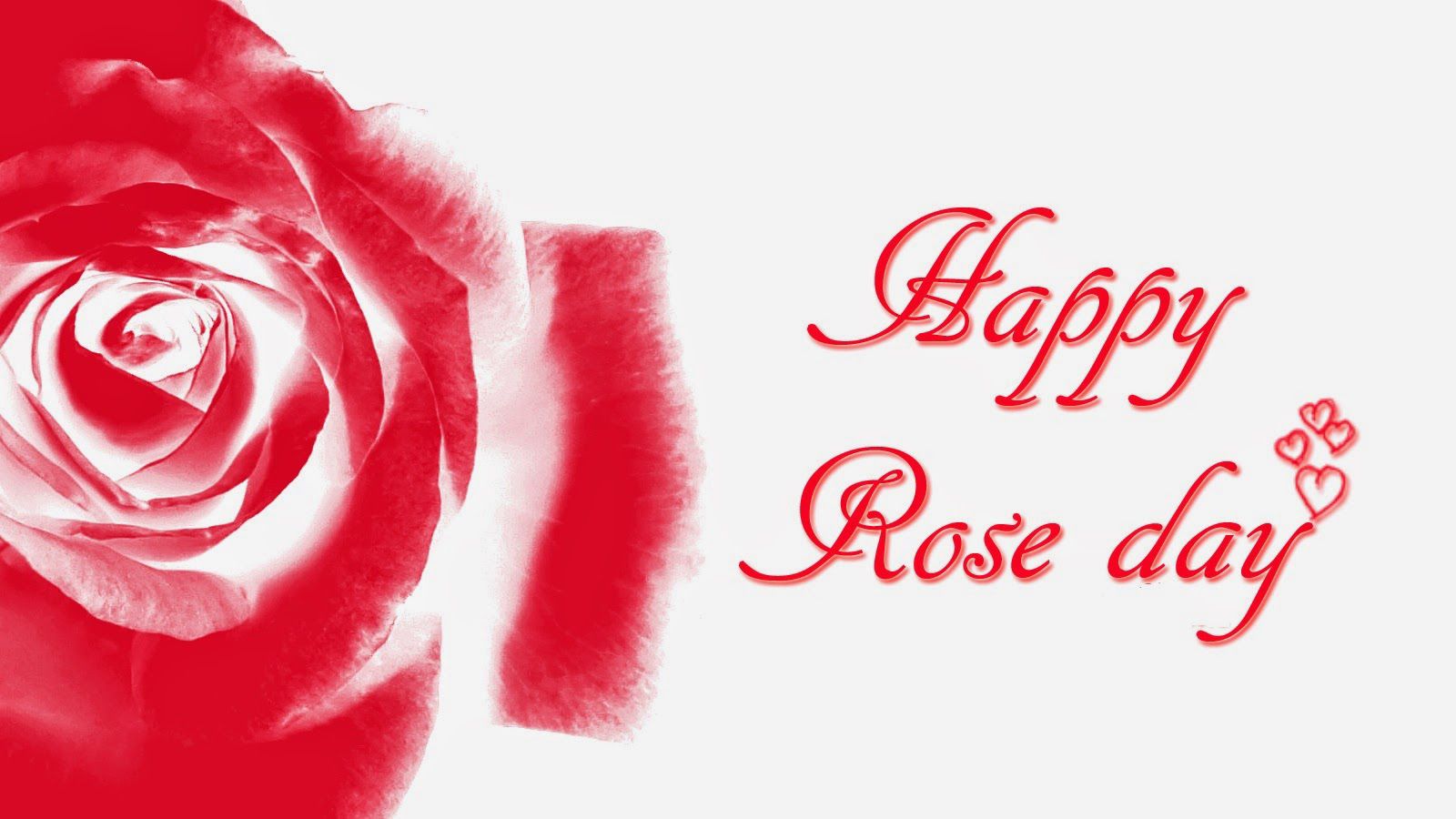 Download Send Rose Day Wallpapers Greetings Images Card