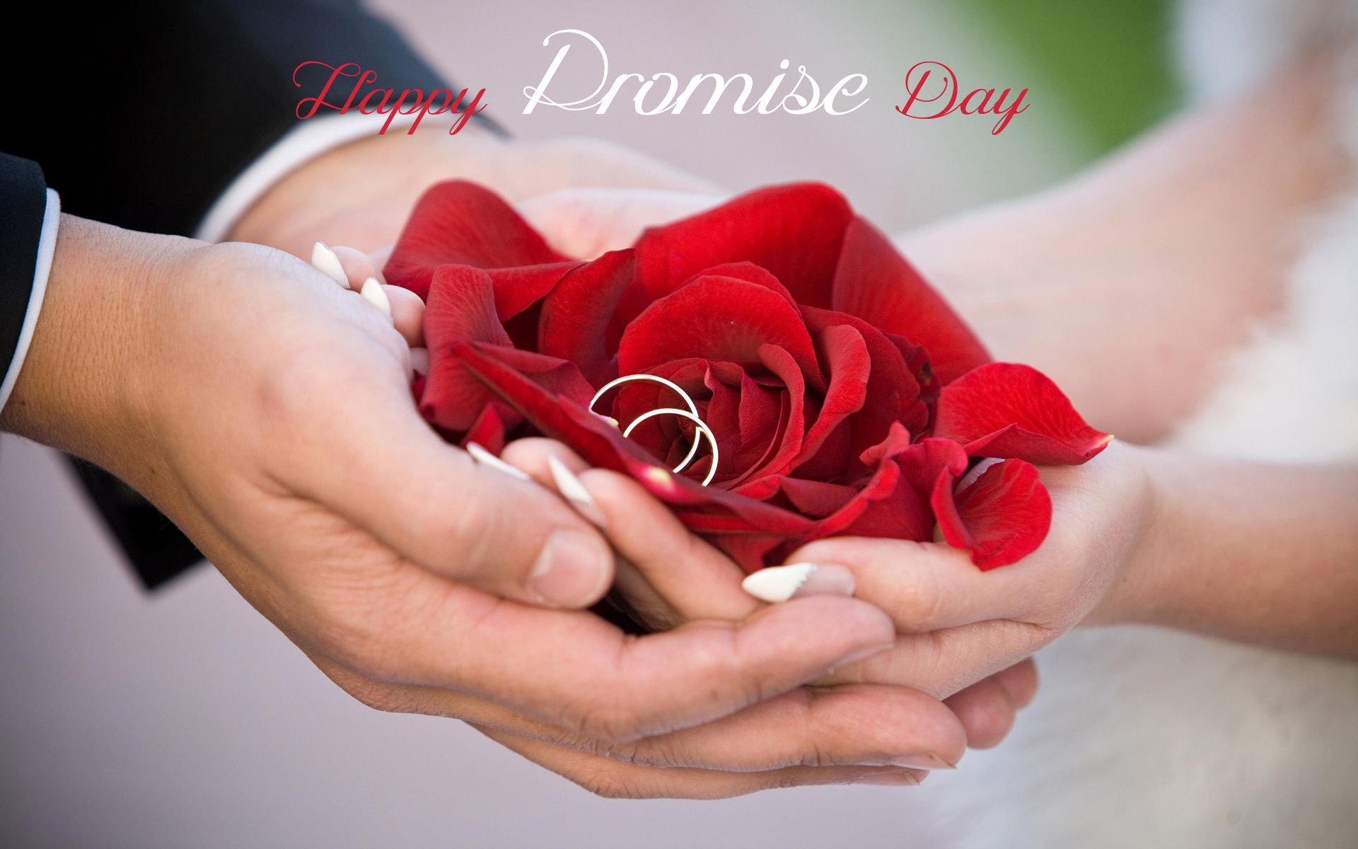 Download, Send, Promise Day Wishes, E-Greetings, Promise Day, Promise Day – 11 February, Happy Promise Day, Promise Day 2015, Rose in Hand