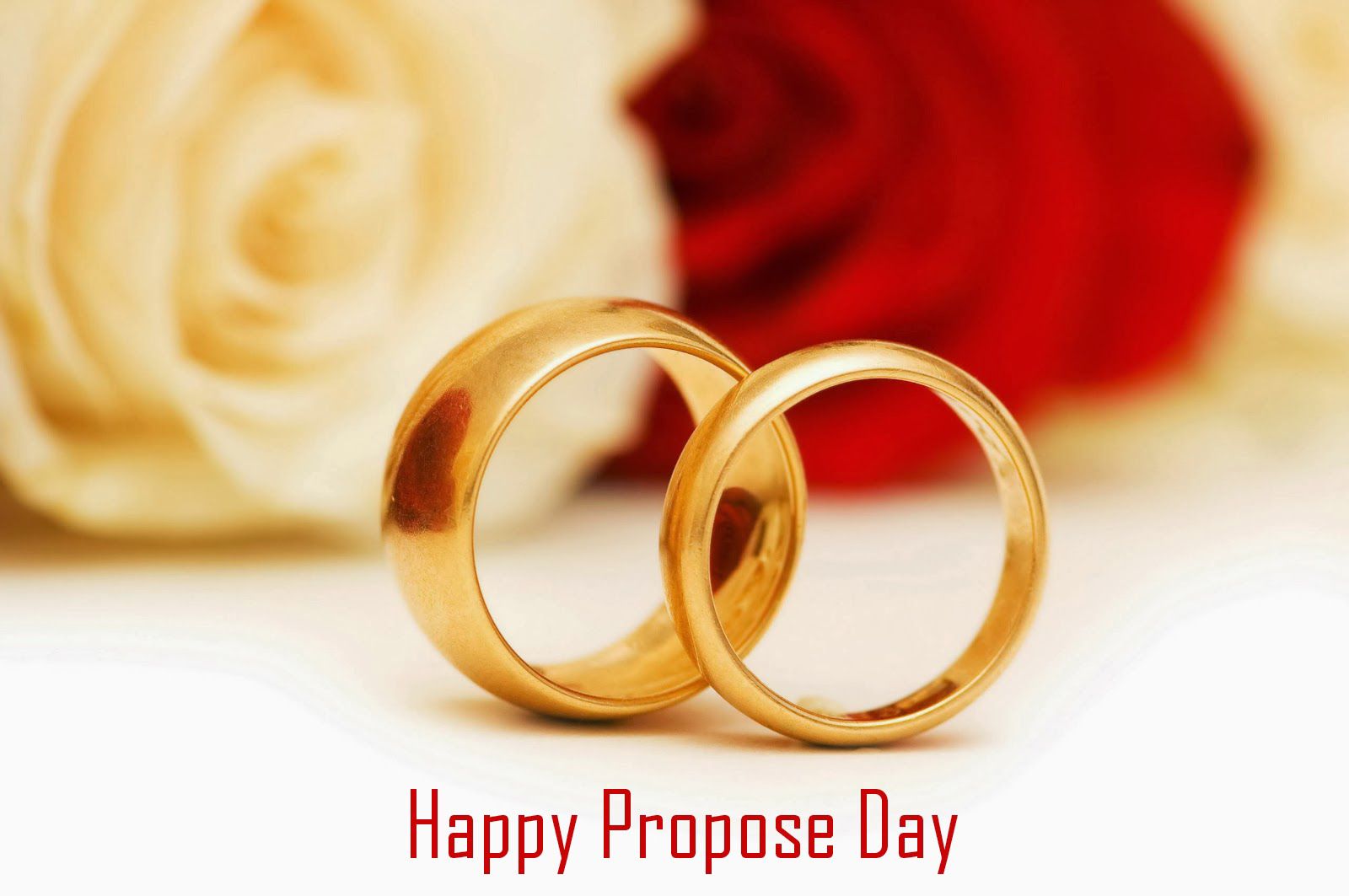 Download Send Propose Day Wallpapers E Greetings Images 