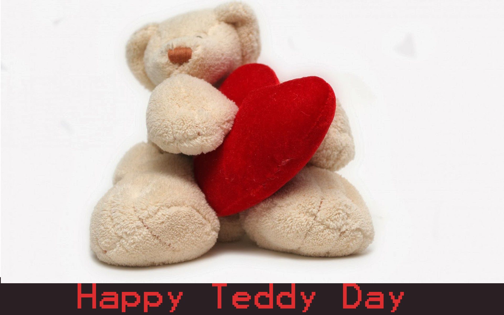 Teddy Day, Teddy Day 2015, Teddy Day sms, Teddy Day wishes, Teddy Day – 10 February, Downloads, E-Greetings, Send, Wallpapers
