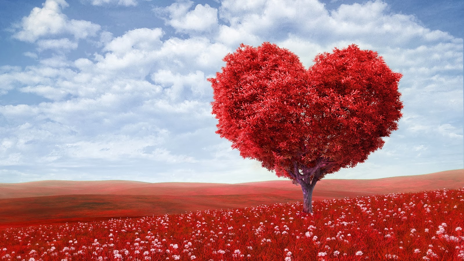 Happy Valentines Day 2015, Wallpapers, e-Greetings, Download, Heart Tree