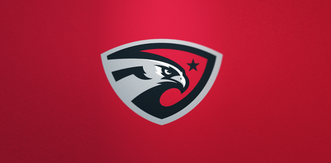 Eagle-bird-logo-design
