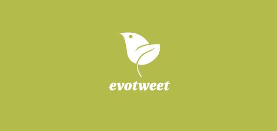 Evotweet-bird-logo-design