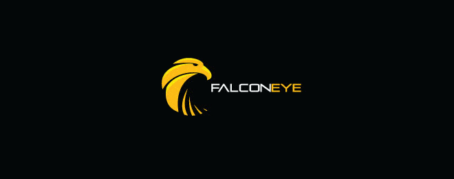 Falcon-Eye-bird-logo-design