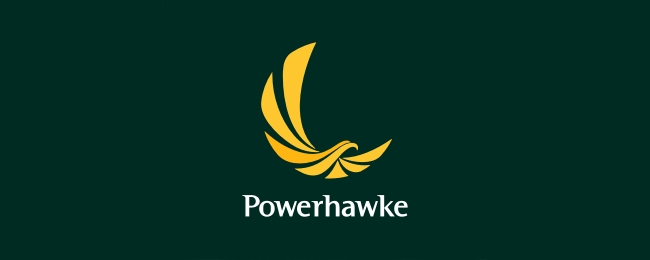 Powerhawke-bird-logo-design
