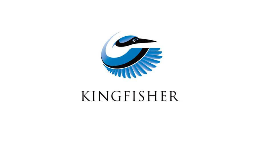 bm_kingfisher-bird-logo-design