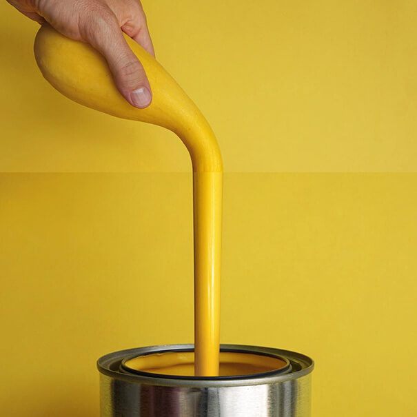 Yellow Squash + Yellow Paint Photo Mash by Stephen Mcmennamy