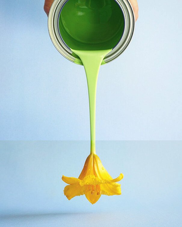 Green Paint + Daylily Photo Mash by Stephen Mcmennamy
