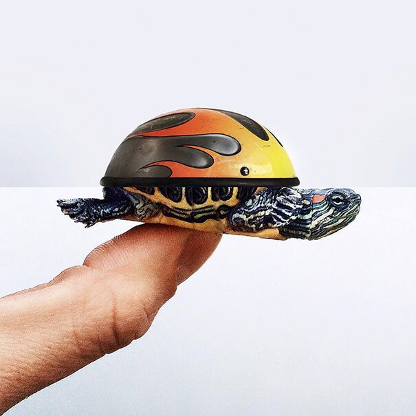 helmet + turtle Mash by Stephen Mcmennamy