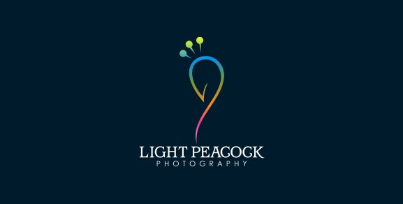 light-peacock-photography-bird-logo-design