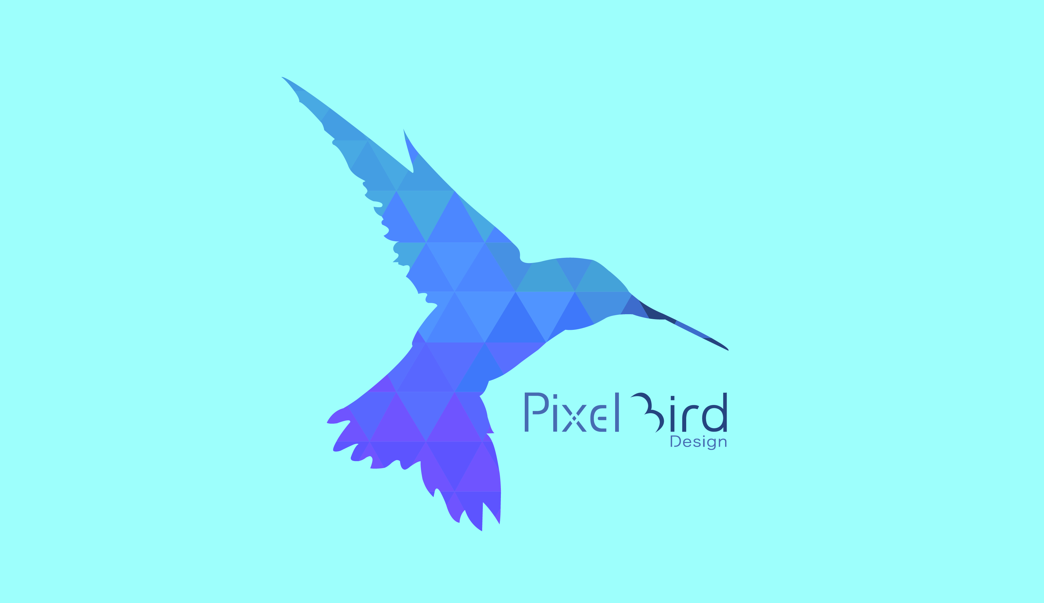 pixel-bird-design-bird-logo-design