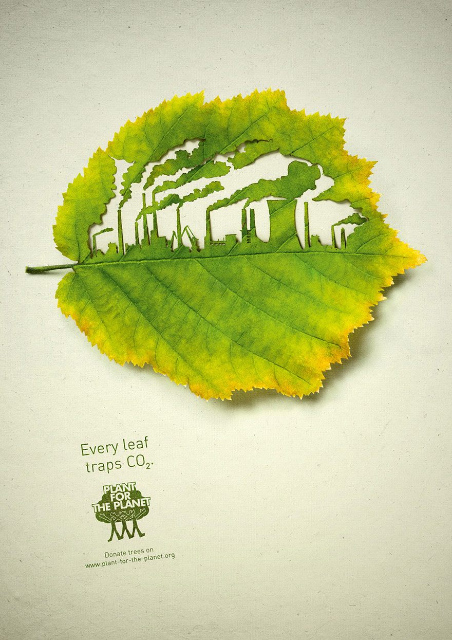 Every Leaf Traps CO2 Plant For The Planet