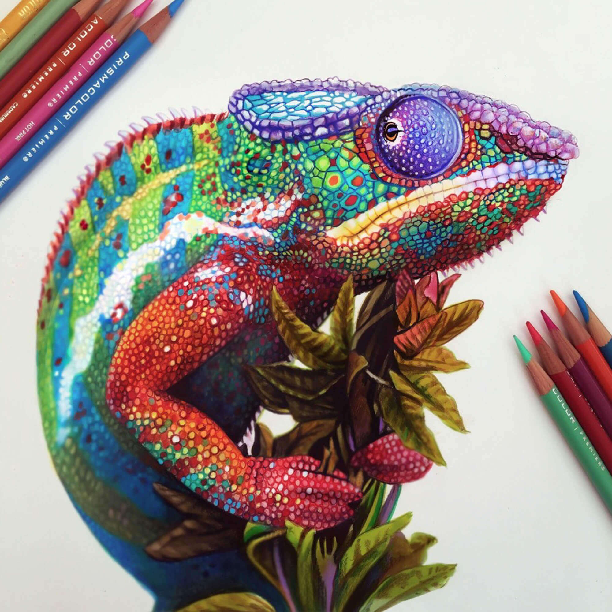 Extraordinary-Colorful-3D-Drawing-by-Morgan-Davidson