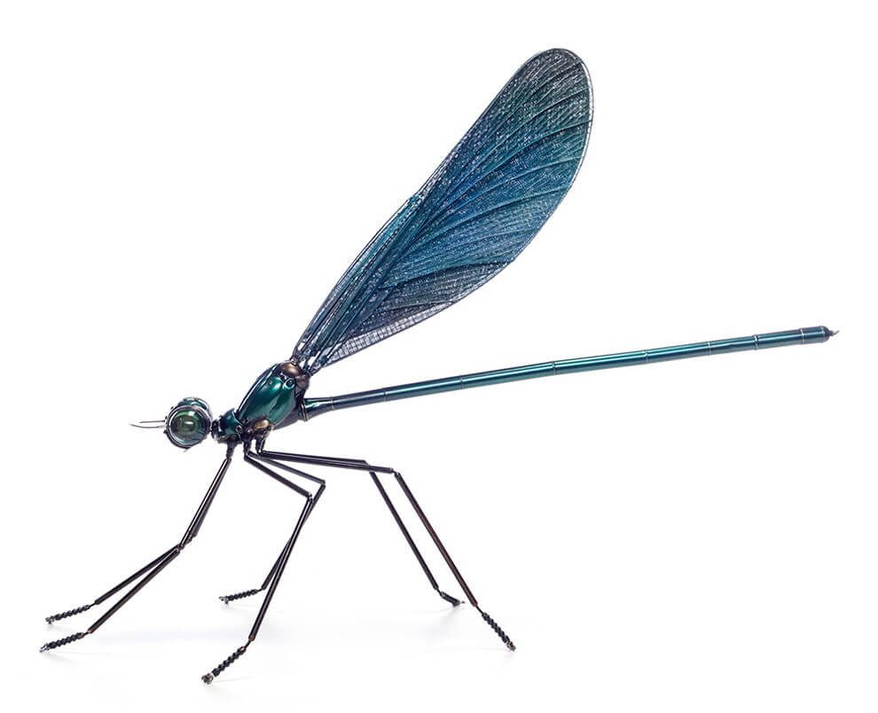 Dragonfly Sculptures Made from Bicycle, Car and Motorcycle Parts