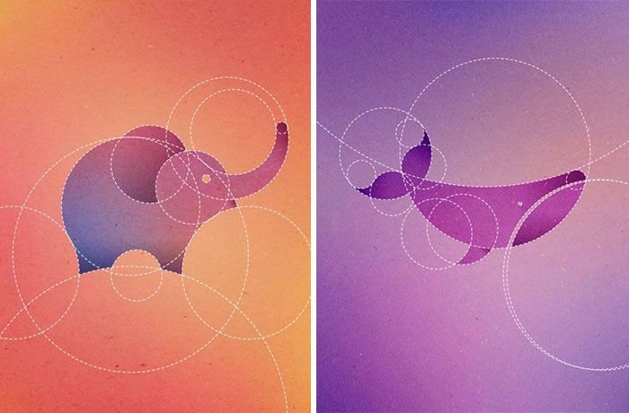 Dorota Pankowska Creates 13 Animals Artwork Out of 13 Perfect Circles