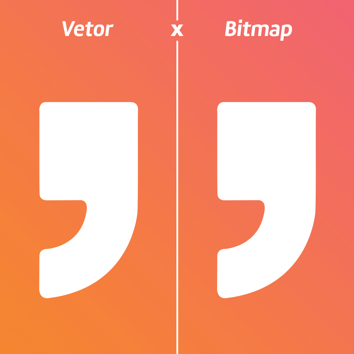 vector raster bitmap