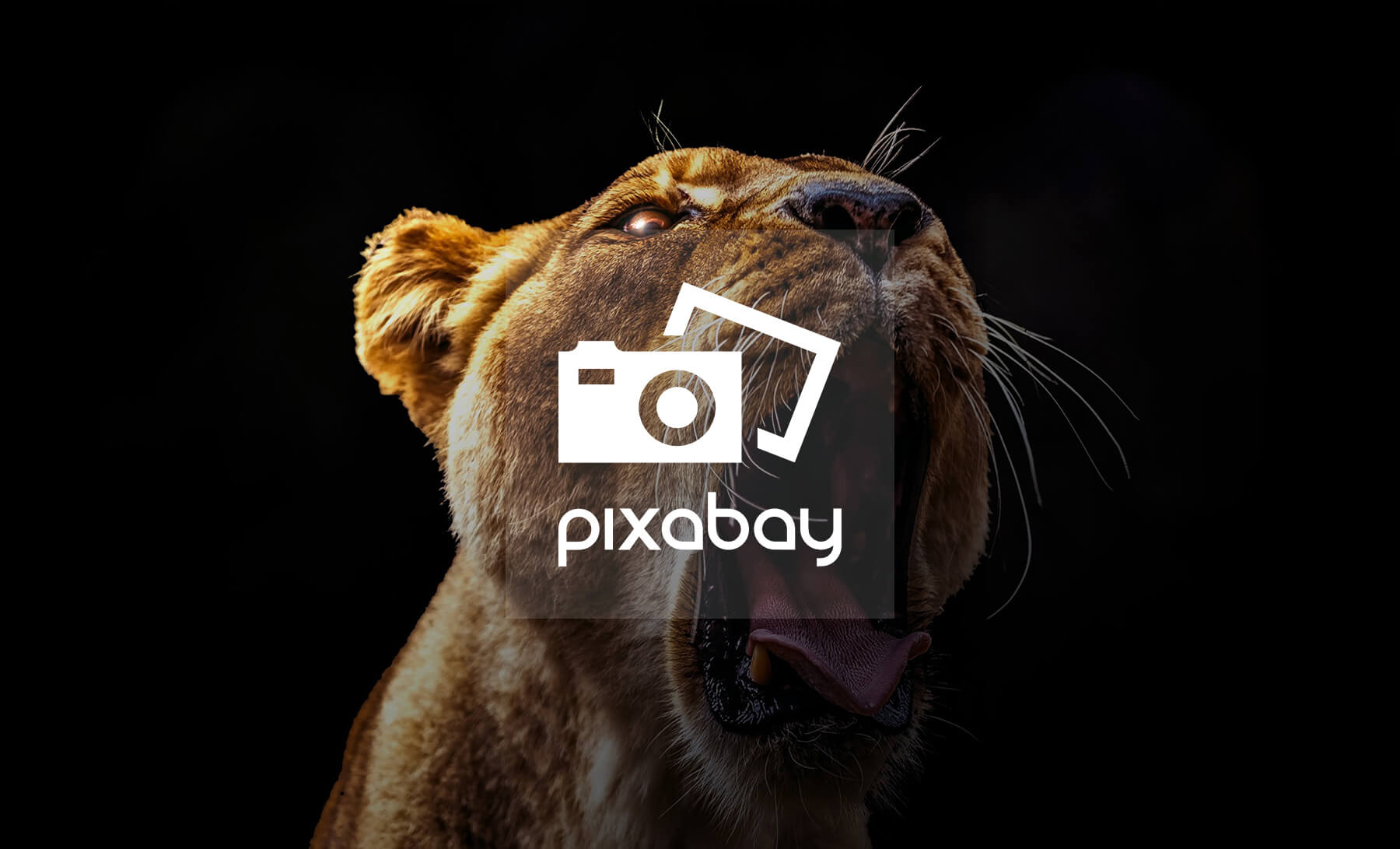 Graphic Designer Stock Resource - Pixabay
