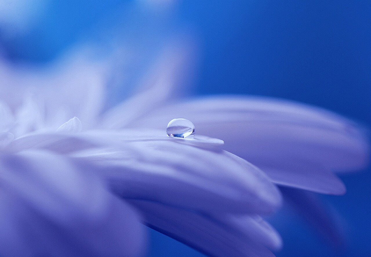 Drop of water Flower-Background
