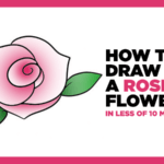 Video- How to Draw a Rose Flower in Less of 10 Minutes
