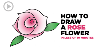 Video- How to Draw a Rose Flower in Less of 10 Minutes