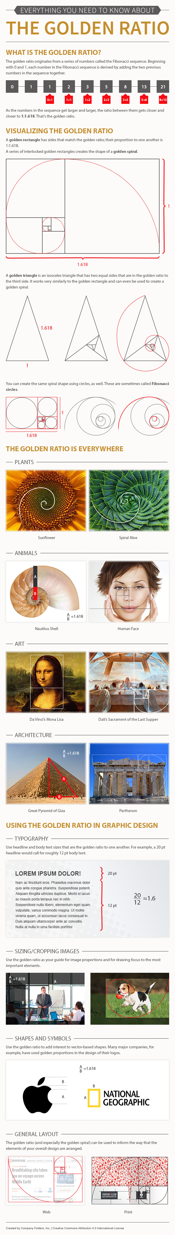 Infographic: What Is the Golden Ratio in Design