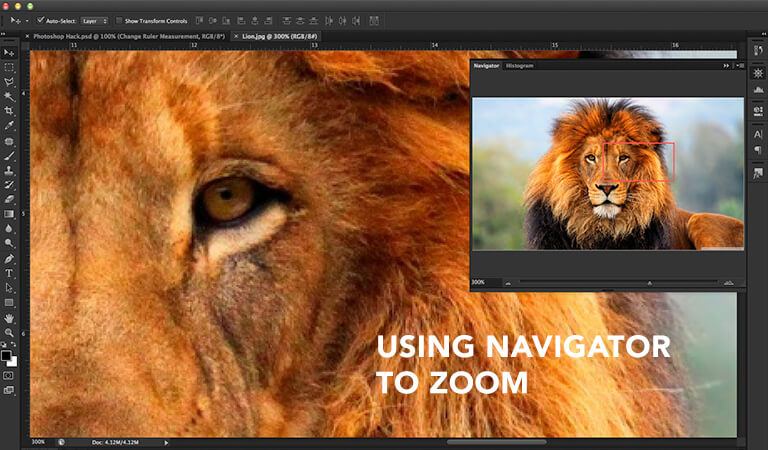 Using Navigator to Zoom