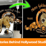 5 True Stories Behind Hollywood Studio Logos