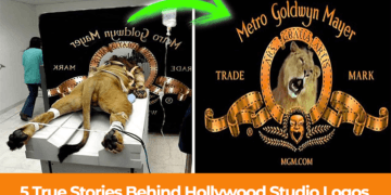 5 True Stories Behind Hollywood Studio Logos