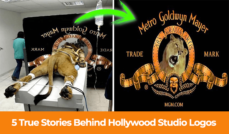 5 True Stories Behind Hollywood Studio Logos