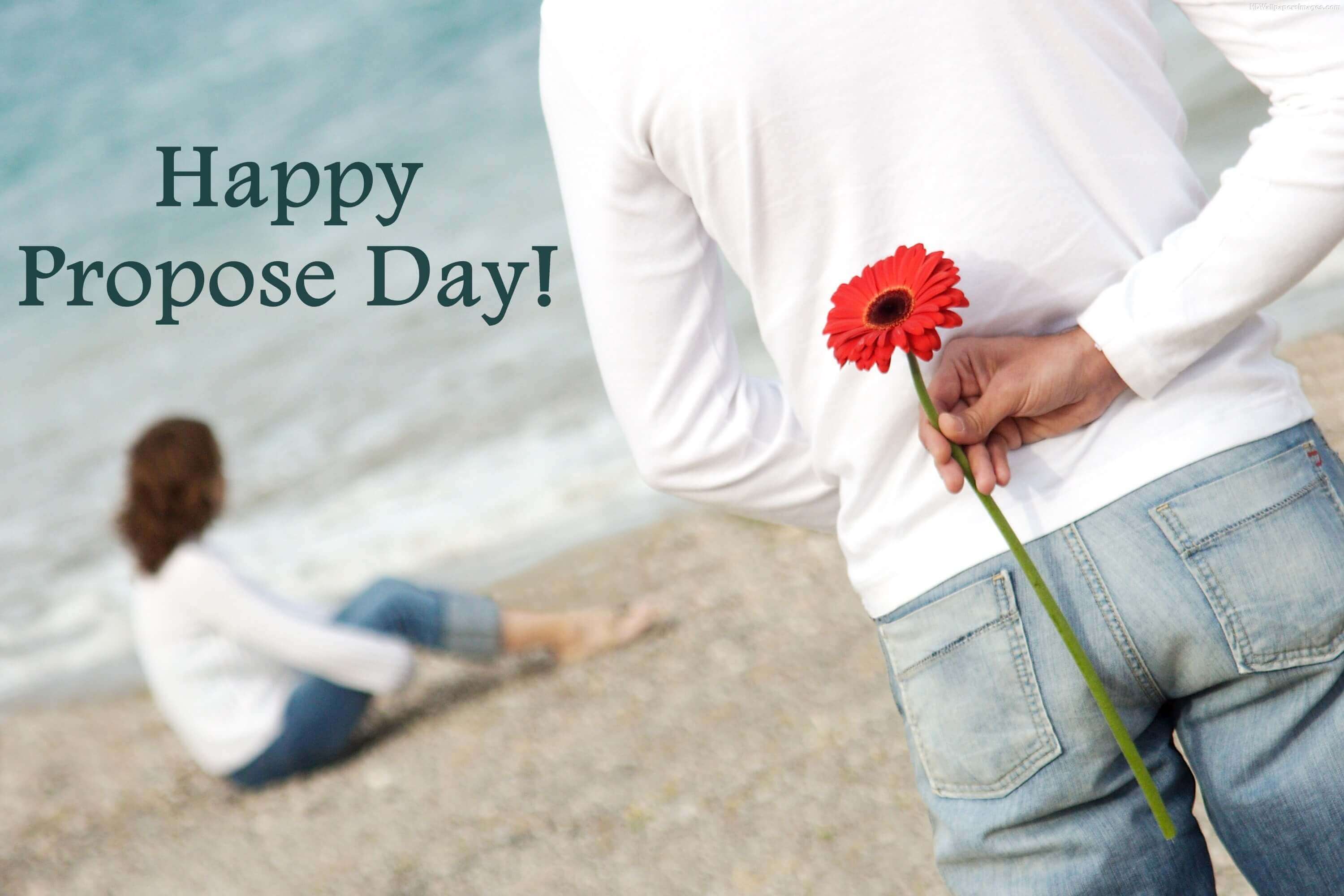 Propose Day Images Wallpapers 