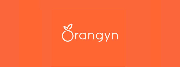 Orangyn Orange Fruit Logo Design