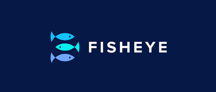 Fish Eye Logo Design By Jeroen van Eerden