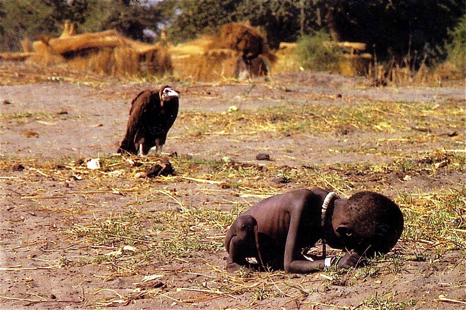 Vulture Stalking a Child Photograph by Kevin Carter